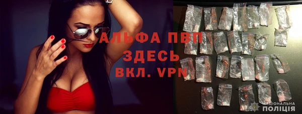 хмурый Арсеньев