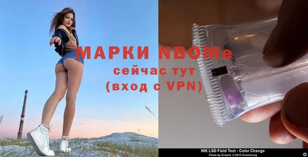 винт Аркадак