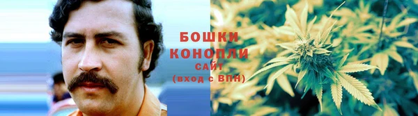 хмурый Арсеньев