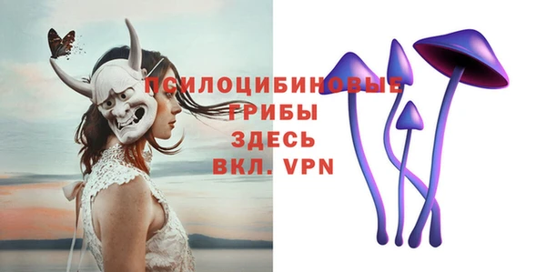 хмурый Арсеньев