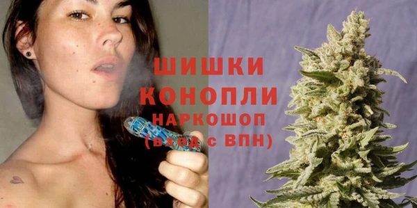 винт Аркадак