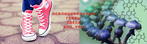 ALPHA-PVP Армянск
